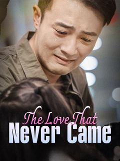 The Love That Never Came